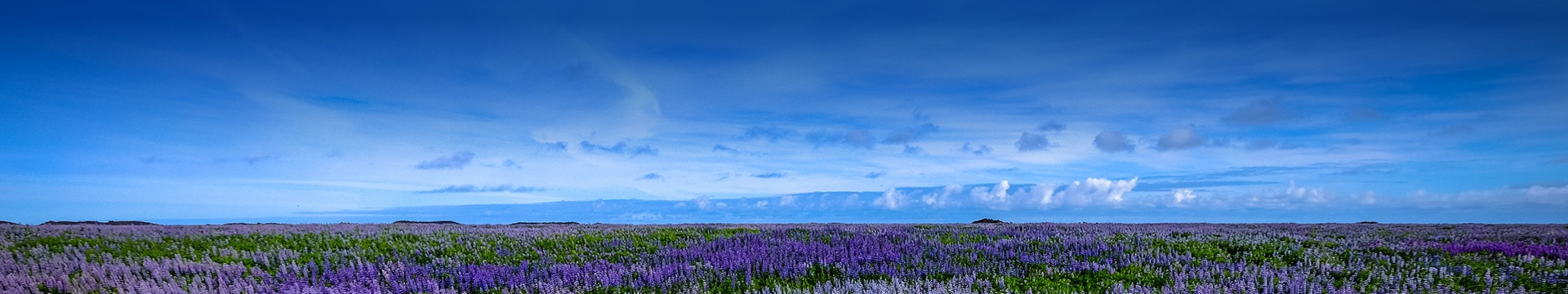 绵阳百芳公墓
